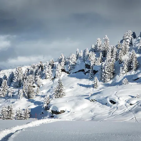 Апартаменты Charme A Avec Grande Terrasse - Fr-1-575-9 *