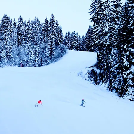 公寓 Charme A Avec Grande Terrasse - Fr-1-575-9