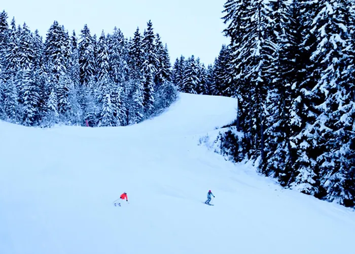 公寓 Charme A Avec Grande Terrasse - Fr-1-575-9